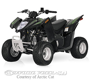 款北极猫DVX 250摩托车图片3