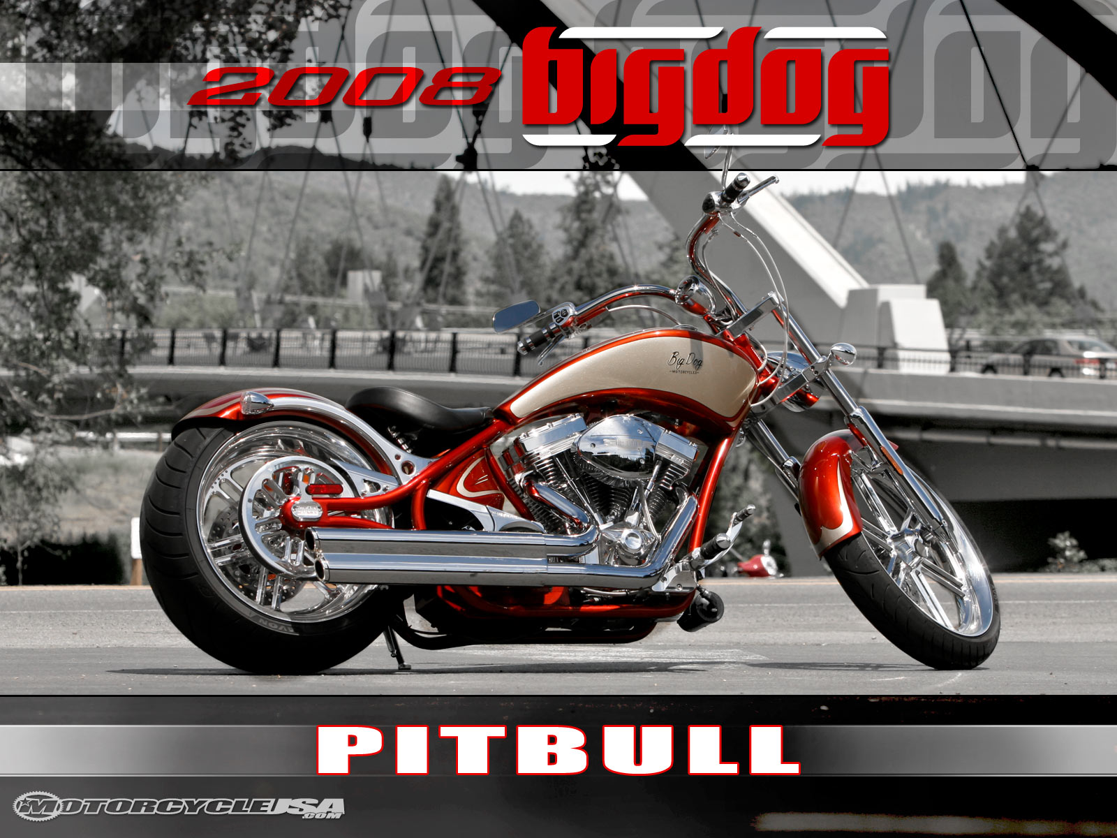 2007款大狗Pitbull摩托车图片1