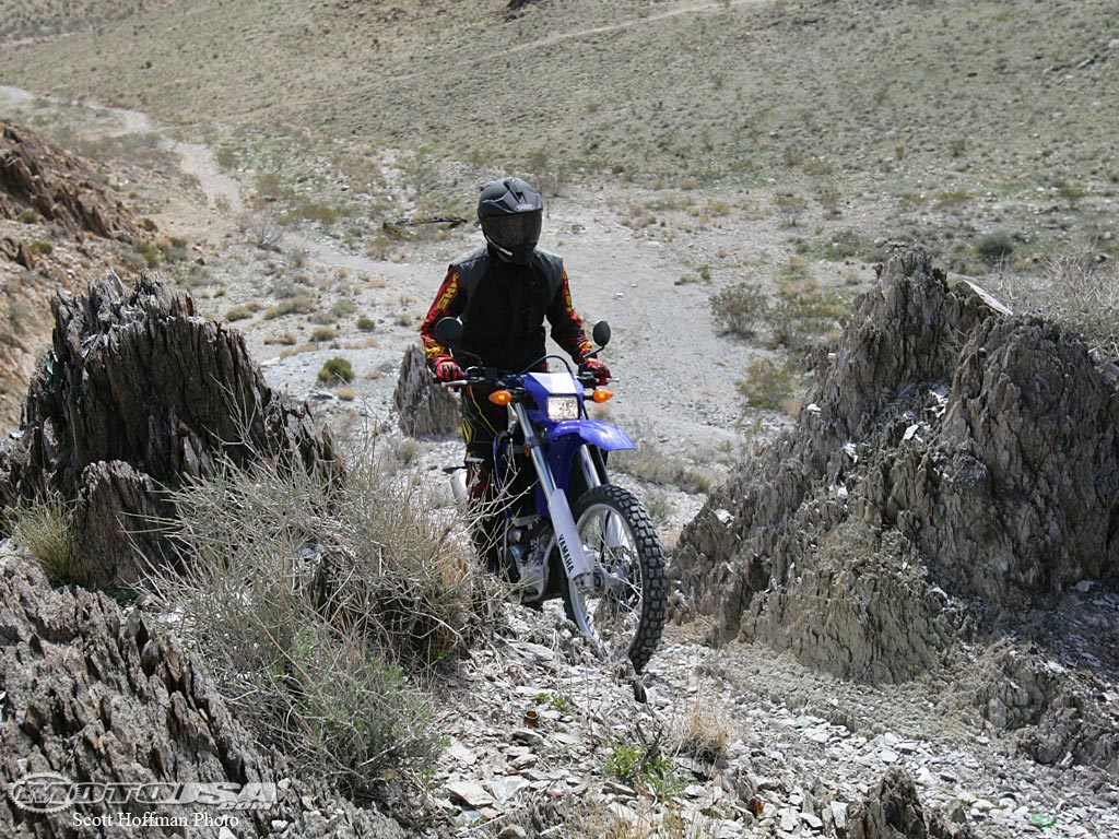 2008款雅马哈WR250R摩托车图片4