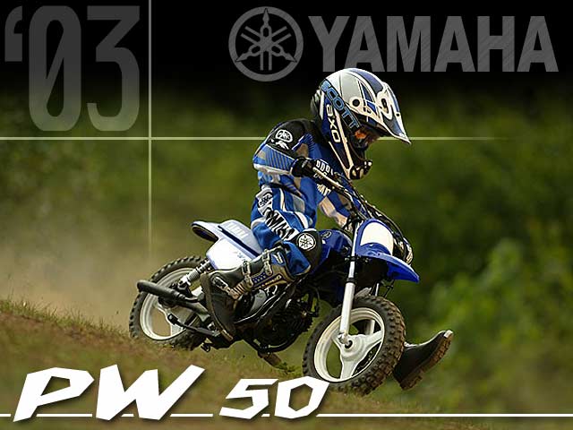 2003款雅马哈PW50摩托车图片1