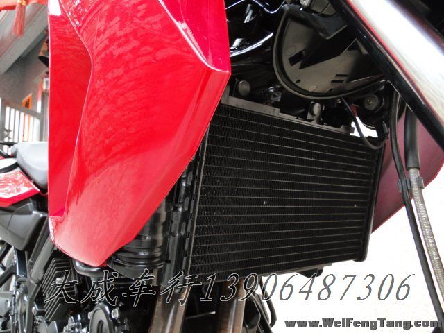 08年原版原漆BMW双缸中量级越野拉力车红色F650GS 图片 1