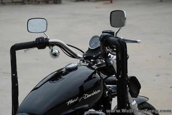 11年 Harley Davidson 哈雷的野性传统 XL883L Sportster Low Sportster 883 Low - XL883L图片 2
