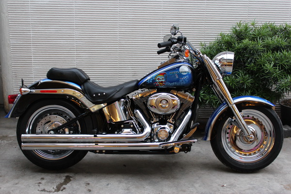 新到2010款HARLEY-DAVIDSON 蓝色 肥仔 限量版  车况好 图片 0