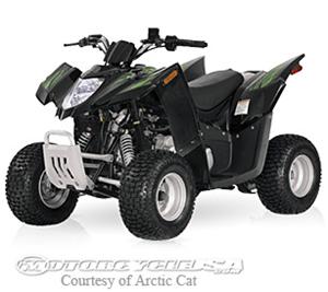 2008款北极猫50 DVX Auto摩托车图片